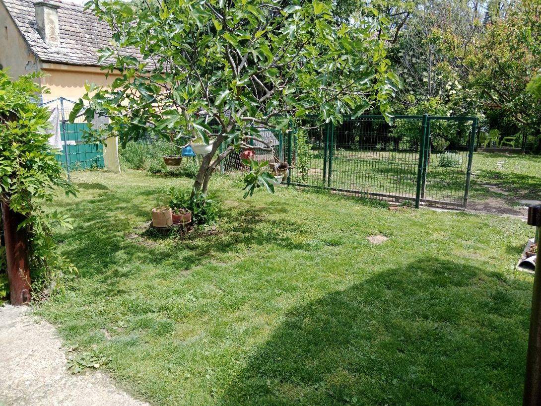 Domaći doručak poslužen na drvenom stolu