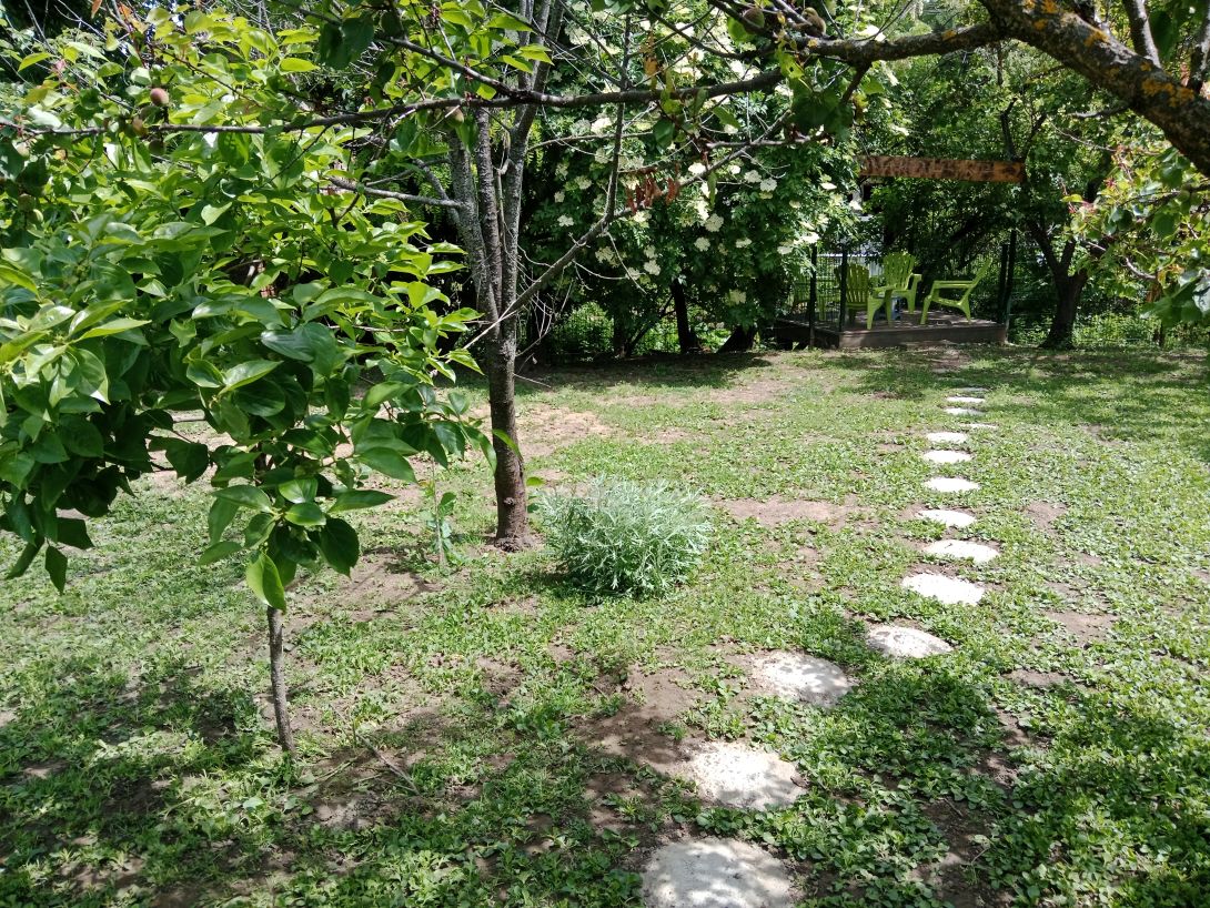 Seosko dvorište sa cvećem i starim zidom
